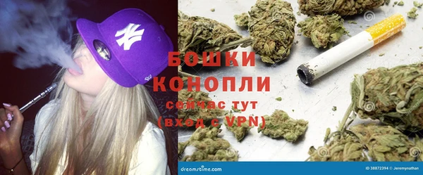 мяу мяу мука Бородино
