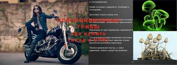 гашишное масло Бугульма